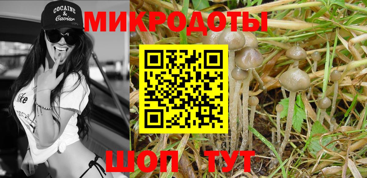 Кандалакша  Псилоцибиновые грибы Psilocybine cubensis  Вход с VPN 